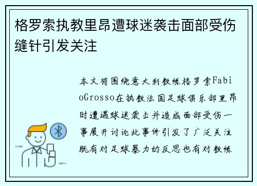 格罗索执教里昂遭球迷袭击面部受伤缝针引发关注